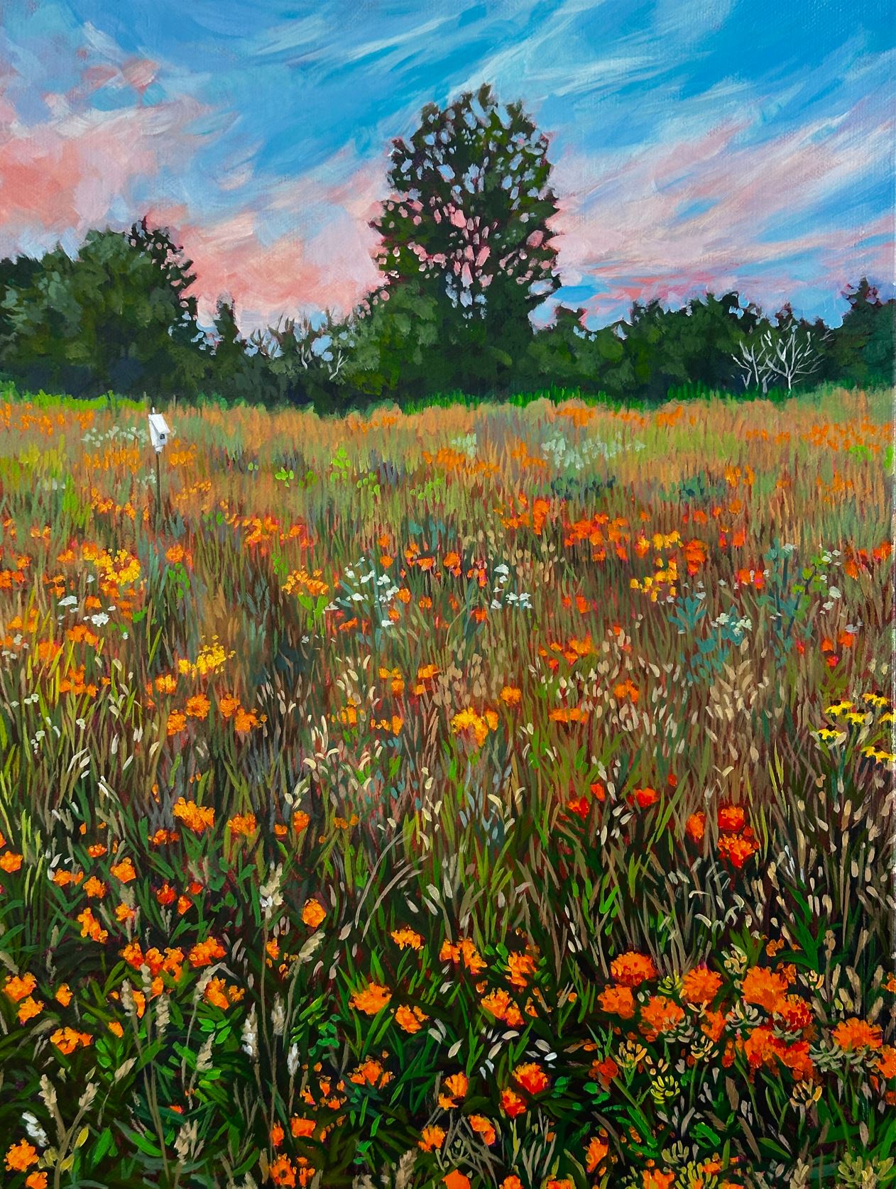 A Walk in Late July - PRINT
